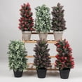 thumbnail image 3 of Artificial Plant Faux Tree Simulated Potted Plants Outdoor Indoor Plastic Pulp Flowerpot For Christmas Ornament, 3 of 10