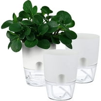 NOGIS Self Watering Planters Pots, 3 Pack 6 Inch Plant Pots, Modern Decorative Flower Pots with Transparent Water Storage Bottom, Perfect for Indoor House Plants, Flowers, Herbs (6 Inch, White)