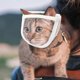 thumbnail image 1 of Cat Muzzle, Kitten Muzzles Mask, Cat Face Guard for Nail Trimming and Bathing, Pet Muzzle, Cat Mouth Cover, 1 of 1