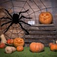 thumbnail image 3 of 30cm/5cm Arañas 5m/40g Telarañas Decoraciones de Halloween Set Realista Espeluznante, 3 of 9