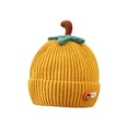 thumbnail image 1 of Gorro De Punto De Invierno Para Niños, Gorro, Gorro De Hoja De Dibujos Animados, Gorro Cálido Para Niños, Niñas, Al Aire Libre seitruly AP008011-01, 1 of 6