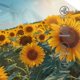 thumbnail image 3 of Balery Sunlit Sunflower Field Gorra de béisbol de tamaño ajustable para correr, entrenar y actividades al aire libre. Gorra de papá para todas las estaciones., 3 of 6