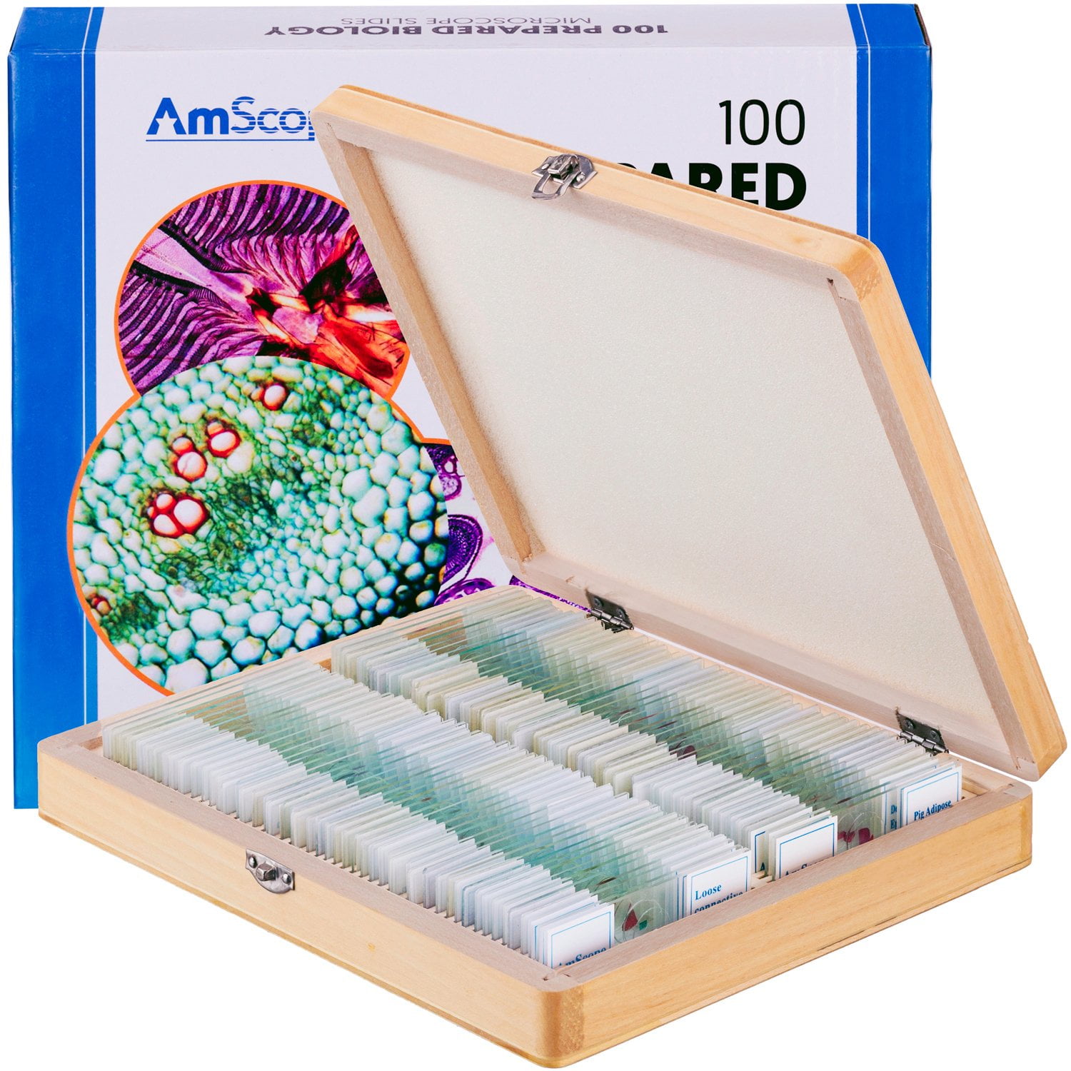 AmScope PS100D Prepared Microscope Slide Set for Basic Biological