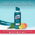 thumbnail image 4 of Lysol Air Sanitizer Spray, Simple Fresh, 2ct, 10 fl oz each, 4 of 8