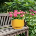 thumbnail image 5 of Ordivic 7 inch Yellow Ceramic Plant Pot with Drainage Hole & Saucer, Medium Indoor Outdoor Planter for Snake Plant, Pothos, Small ZZ Plant,Porch,Desk, 5 of 7