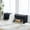 Black + Teddy, variant on Boucle Teddy Fabric Upholstered Bench 350lbs Heavy Duty Kiln Dried Wood Frame Modern Channel Stitched Accent Ottoman Multipurpose Entryway Bedroom Window Bench Easy Assembly(Ivory)