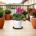 thumbnail image 4 of COSMOBETTY 4Ud Circular Para Macetas De Plástico Negro Para Plantas Interiores Y Suculentas, 4 of 8