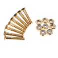 thumbnail image 3 of Almencla Skateboard Screws Nuts Bolts Set Hardware for Longboard Deck Mounting Tool Men, 3 of 7