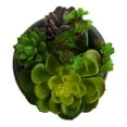 thumbnail image 2 of Bornbridge Artificial Succulent Plants in Planter -  Mini Succulent Plants - Madera, 2 of 7