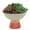 MultiColor, variant on Artificial Succulent Mix in Two Tone Gray/Beige Ceramic Bowl Planter
