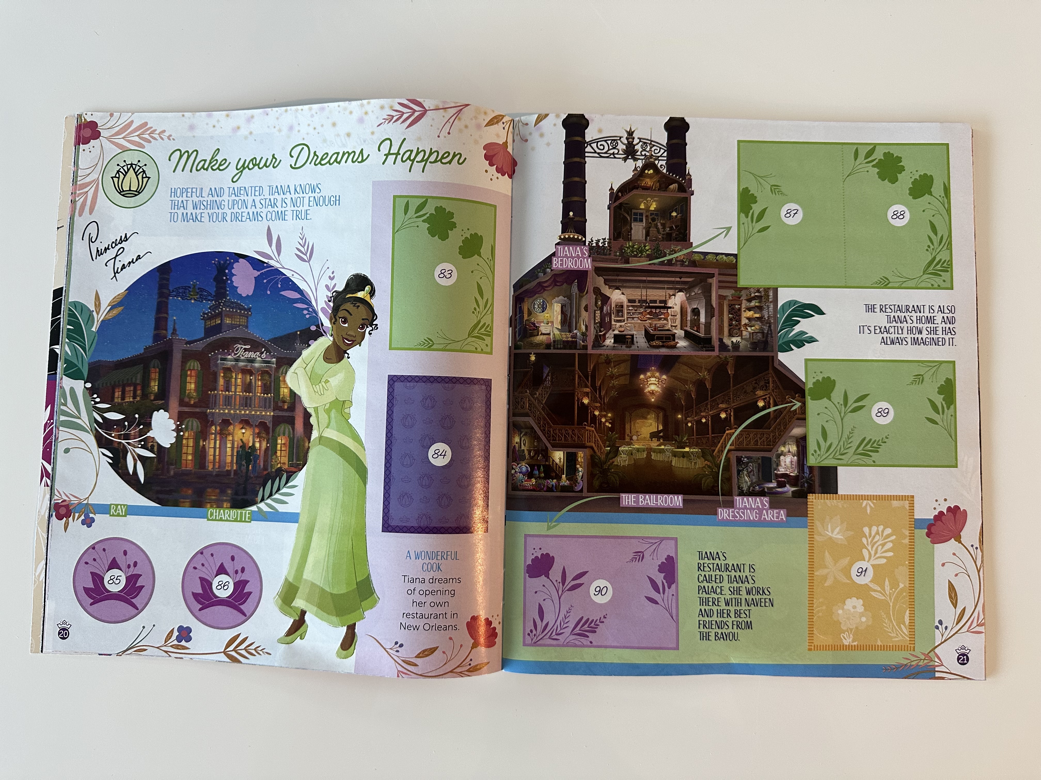 Disney Princess Maps of Wonder Album and Stickers - Panini
