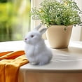 thumbnail image 1 of Hxlamzoo Jouets pour Enfants Modèle de Simulation de Pâques Modèle de Lapin Réel Jouets en Liquidation, 1 of 8