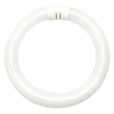 GE 33774 Garage & Basement T9 Circline Fluorescent Bulb, Cool White, 8", 22W, Each