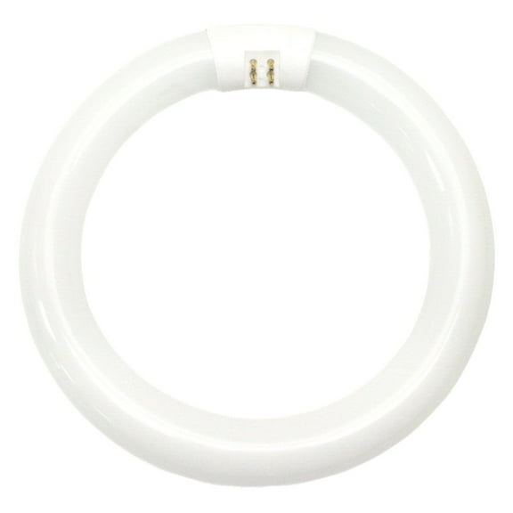 GE 33774 Garage & Basement T9 Circline Fluorescent Bulb, Cool White, 8", 22W, Each