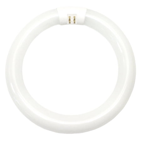 GE 33774 Garage & Basement T9 Circline Fluorescent Bulb, Cool White, 8", 22W, Each