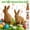 C-【Rattan Bunny Garden Decor】, variant on Easter Hand-Woven Natural Rattan Bunny Basket Decoration, Wicker Rabbit Ornament for Spring Easter Decor, Rustic Pastoral Farmhouse Indoor Outdoor Tabletop Home Centerpiece, HAODEJW