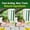 Green, variant on 1-Pack Outdoor Disposable Fly Trap, Fast-Acting Fly Catcher for Yard & Patio, Natural Bait, Captures Thousands of Flies, Safe & Easy to Use