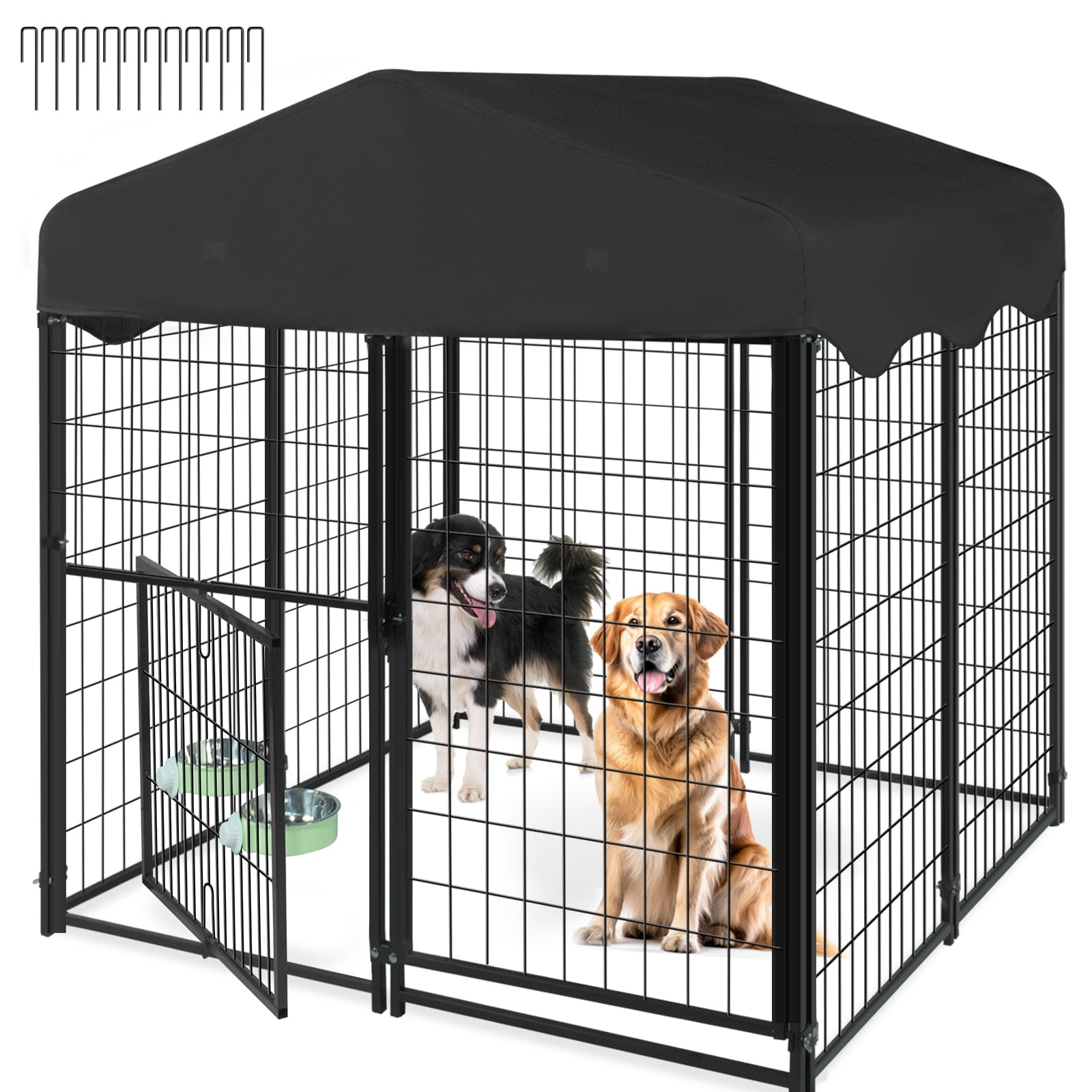 Outdoor dog kennel near me 2025