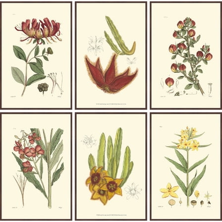 Autumn Blooms Hexaptych