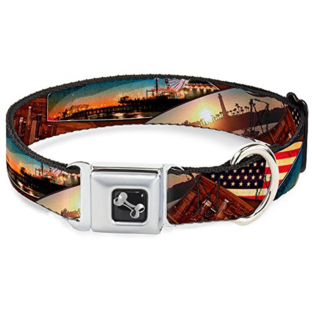 BuckleDown Seatbelt Buckle Dog Collar
