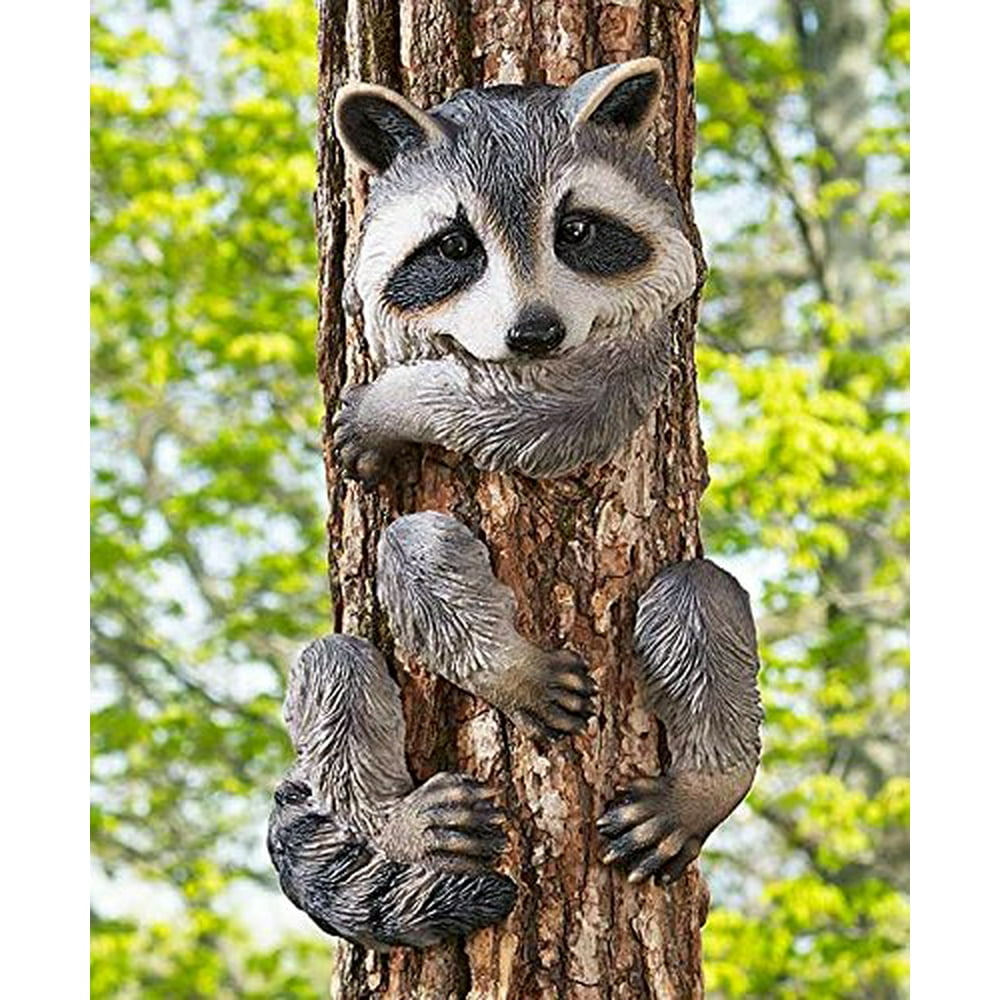 Raccoon Tree Hugger
