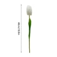 thumbnail image 3 of Artificial Tulips Flowers - Real Touch Silk Tulips with Long Stems for Spring Decor, Wedding Centerpieces, Home Kitchen Table Arrangements & Outdoor Garden Decor, 3 of 7