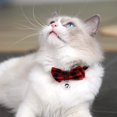 thumbnail image 3 of Collar de gato personalizado de 4 piezas con campana y pajarita, collares de gato, collar de gato, gato mariposa, collar de gato ajustable (15-30 cm) ER, 3 of 5