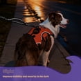 thumbnail image 3 of Pigo Escape Proof Dog Harness, Soft Padded Full Body Pet Harness, Reflective Adjustable No Pull Vest with Lift Handle and Lesh Clip for Large Dogs Walking Hiking Training, Orange, 3 of 11