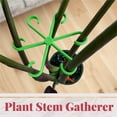 thumbnail image 5 of LKWLPD Eco Friendly Rattan Clip Secured Plastic Plant Clip Reusable Plant Support Clips Plant Fixing Clips for Climbing Plants Plastic Clips Plant Support Clips Tomato Grape Vine Plant Support Clips, 5 of 9