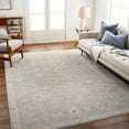 thumbnail image 2 of BoutiqueRugs Mira Traditional Area Rug - Taupe, Medium Gray, Dark Brown - 10' x 13'11", 2 of 8