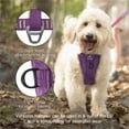 thumbnail image 3 of Kurgo Tru-Fit Smart Dog Harness, Quick Release Buckles, Front D-Ring for No Pull Training, 3 of 9