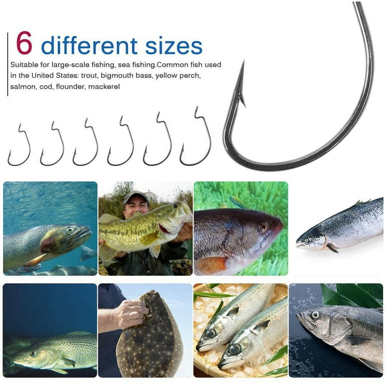 Fishing Hooks, 100pcs/box Offset Wide Gap 2X Strong Worm Hooks Senko Bait  Jig Fish Hooks for Bass Trout Saltwater Freshwater Size:#1 1/0 2/0 3/0 4/0  5/0 