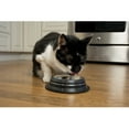 thumbnail image 3 of Iconic Pet Color Splash Stripe Non-Skid Pet Bowl, 8 Oz, Black, 3 of 9