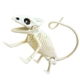 thumbnail image 1 of Animales De Halloween, Huesos, Simulación De Terror, Esqueleto, Decoración De Fiesta De Halloween Noticed HA044865-06, 1 of 4