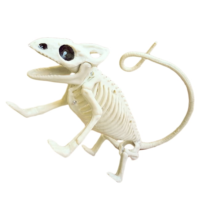 Animales De Halloween, Huesos, Simulación De Terror, Esqueleto, Decoración De Fiesta De Halloween Noticed HA044865-06