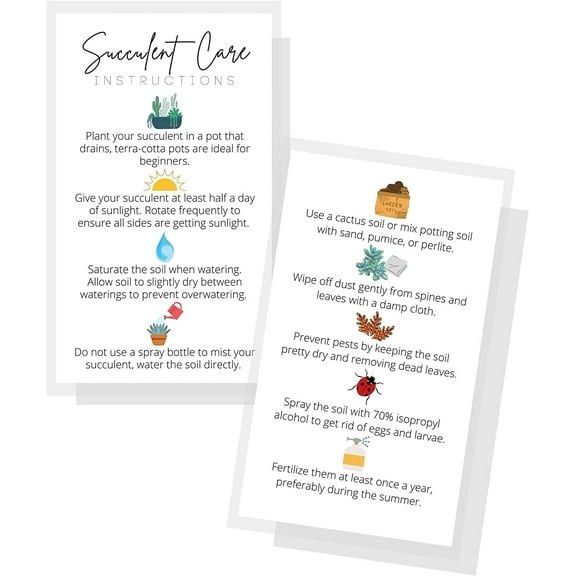 Succulent Care Instruction Cards  50 Pack  2x3.5 in Business Card  Succulent Care Cards  Plant Care Guide for House Sitter, Neighbor, Friend  White Card with Colored Icon