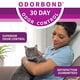 thumbnail image 2 of Arena para gatos en forma de perlas con microcristales, 3,2 kg, Odorbond Tech, 2 of 7