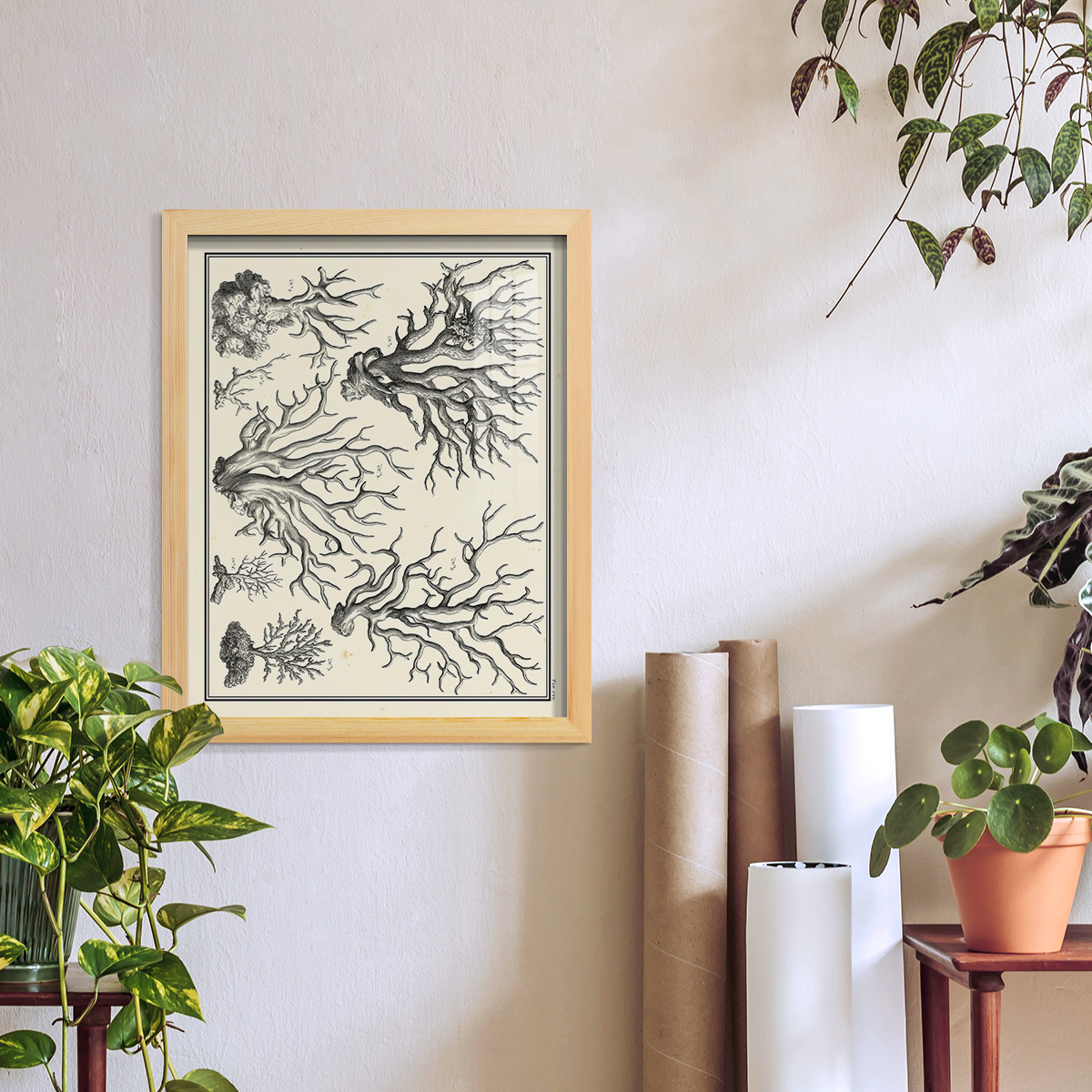 Aegean Collection III -Framed Print w/glass-Natural Wood