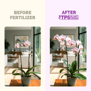 Orchid Fertilizer– Liquid Orchid Plant Food for All Varieties, Supports Healthy Growth & Blooms, 8 oz