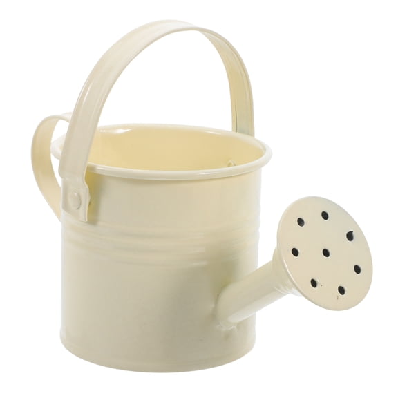 HEMOTON Small Watering Can for Indoor Plants Mini Water Can for Succulent Pots Decorative Planter for Home Cute Watering Can for Tiny Flower Pots Portable Watering Pot