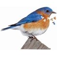 thumbnail image 1 of I AM Bluebird 300 Piece Animal Head-Shaped Jigsaw Puzzle, 1 of 5