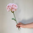 thumbnail image 3 of Regalos de cumpleaños con claveles de flores artificiales, para San Valentín, bodas, aniversarios, cumpleaños, regalos únicos para citas, 3 of 6