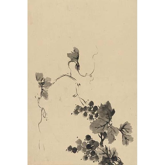 Wine Grape Vine- Fine Art Canvas Print (20" x 30")