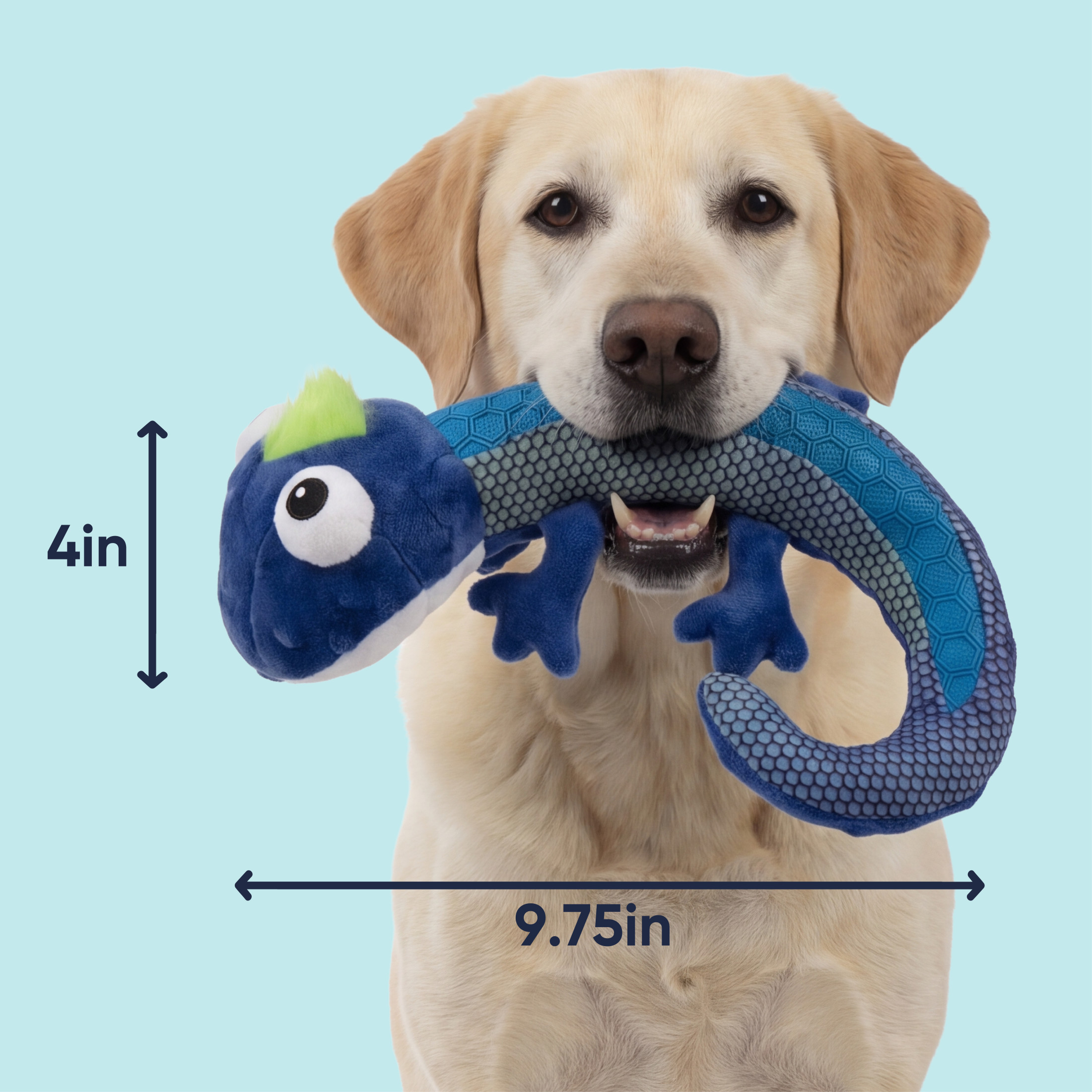 goDog Tough N Texture Carmen Chameleon Squeaky Dog Toy, Plush & Textured Silicone with Chew Guard Technology, Medium