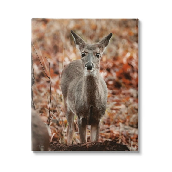 Stupell Industries Fawn in Autumn Nature Animals & Insects Photography Gallery Wrapped Canvas Print Wall Art, 24 x 30