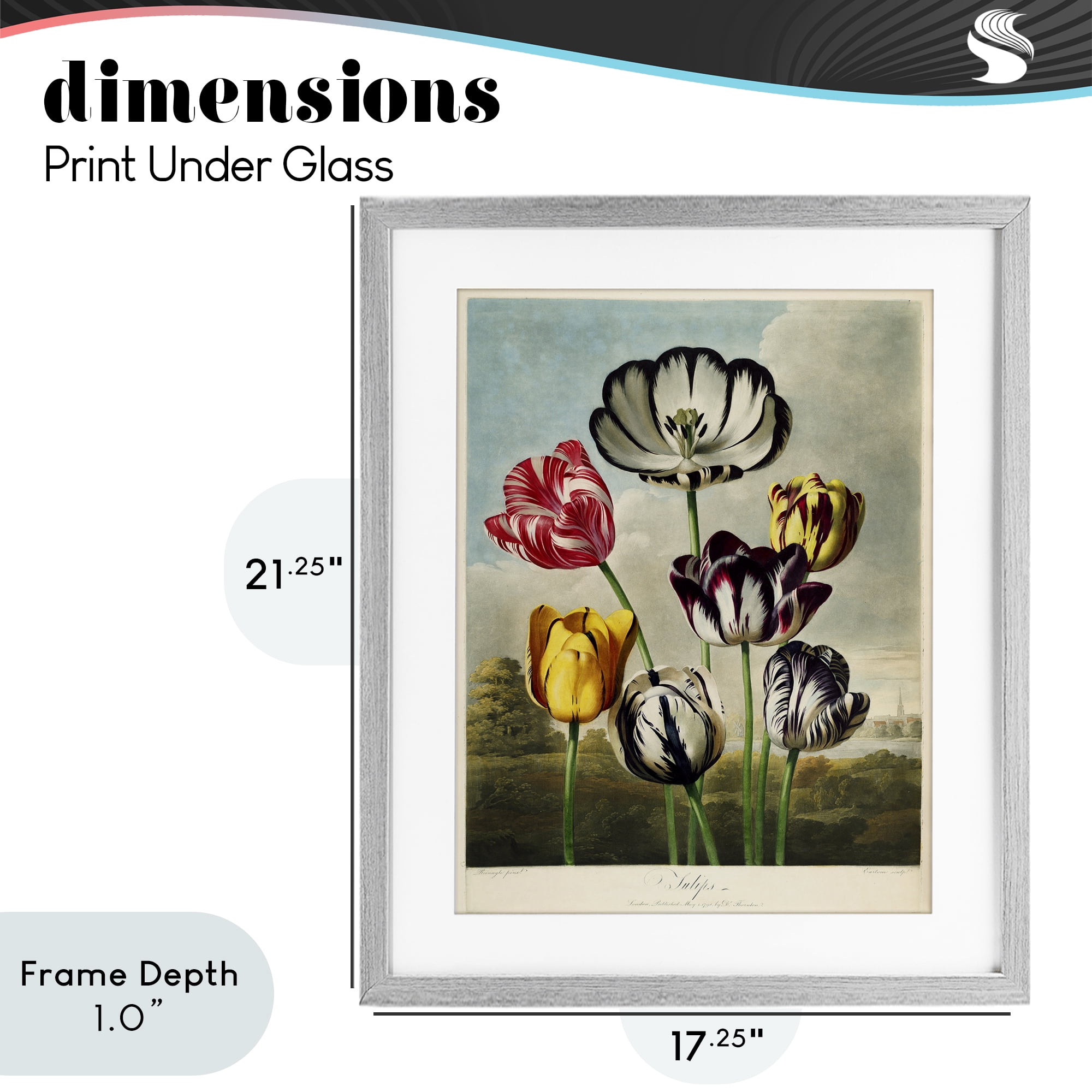 Stupell Industries Tulips From The Temple Gray Framed Print Under Glass, design by Print Collection