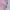 Pink, variant on Cardigans for Women 2025 Fall Open Front Cardigan Coat Casual Lightweight Long Sleeve Solid Tops Blouses with Pockets, 2025 Clearance