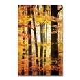 thumbnail image 2 of Trademark Fine Art "Between Us" Canvas Art by Philippe Sainte-Laudy, 2 of 4