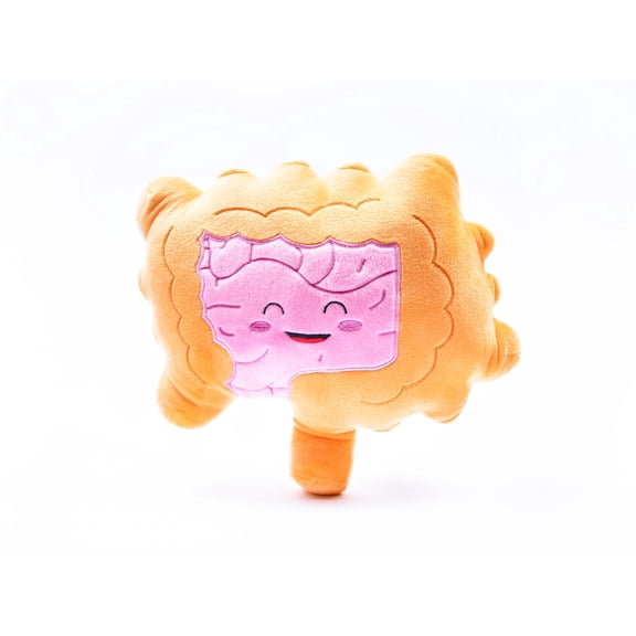 Intestines Plush Organ - Nerdbugs Colon/Intestine Plushie Organ - Intestined for Greatness!