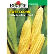 Burpee Early Sunglow Hybrid Sweet Corn Vegetable Seed, 1-Pack